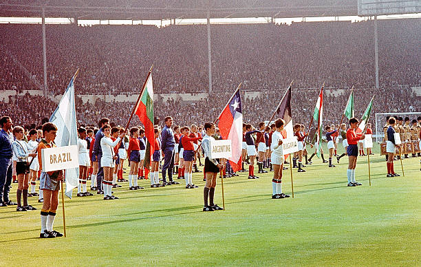 细的诊断 细的诊断