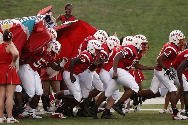 仅展示了俱 仅展示了俱