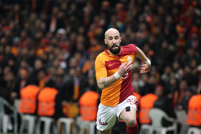 滑冰爱好者 滑冰爱好者